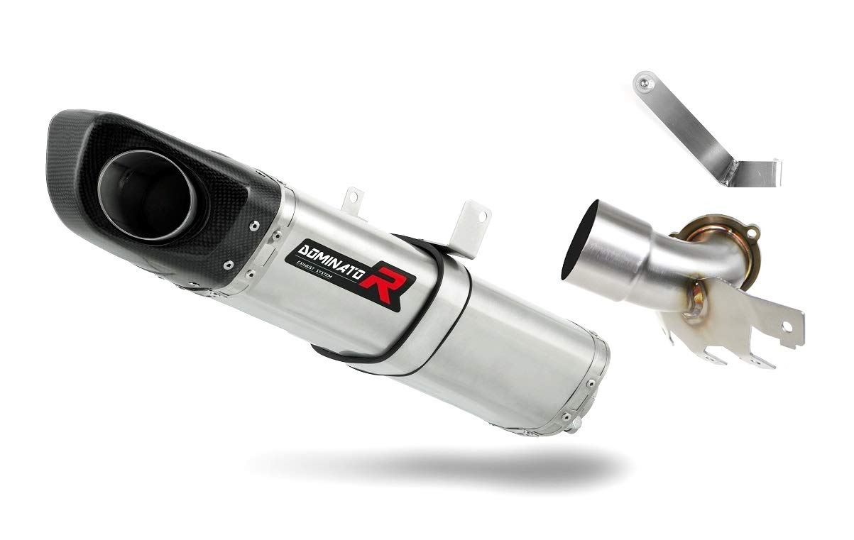 DOMINATOR 690 Duke Escape Moto Deportivo HP4 Carbon Silenciador Exhaust Racing Slip-on 2008 2009 2010 2011