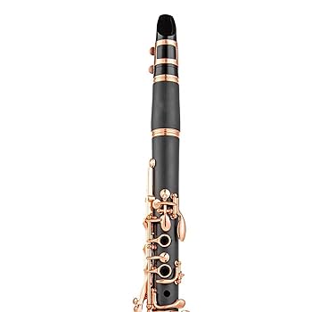 Dilwe B♭クラリネット Amazon.com: Aisiweier B-Flat Clarinet Black Ebonite Clarinet