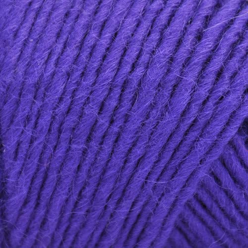 Brown Sheep Lambs Pride Bulky 182 Regal Purple