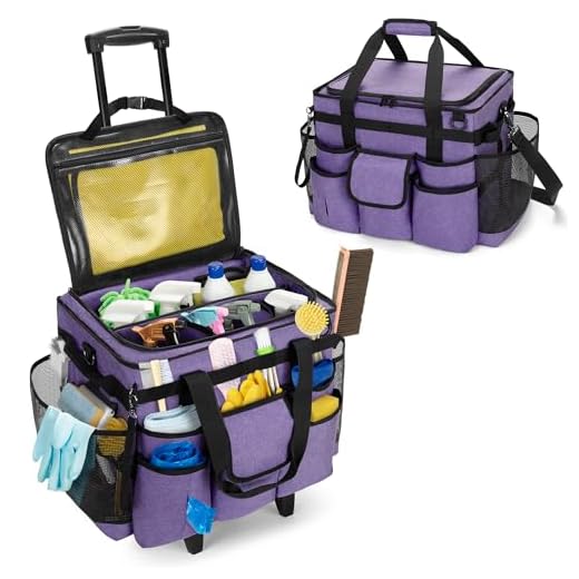 Rolling Cleaning Caddy with Detachable Trolley
