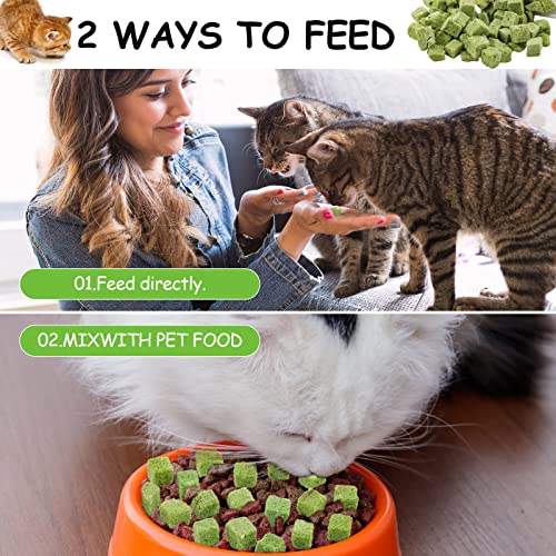 Havenfly Katzengras Snack,120g Gefriergetrocknet Snacks für Katzen für die Zahnpflege und Haarknäuel Entfernen, Katzenminze