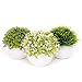 Produktbild Coradoma Künstliche Pflanzen im Topf 3er Set Keramik Deko Pflanze Kunstpflanze mit Gras Mini Sukkulente Blumen Set Klein Kunstblumen für Balkon Büro Wohnzimmer Hochzeit Geschenk