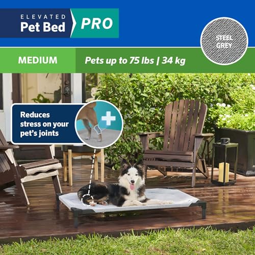 Curated visual reference: Visual Reference: Snapklik Com Coolaroo Pro Elevated Dog Bed