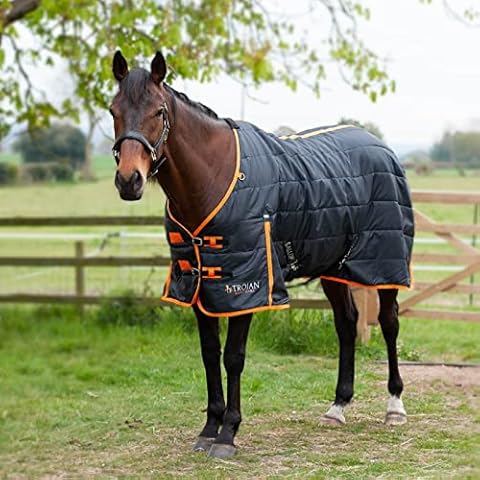 Gallop TROJAN 100g Horse Stable Rug Std Neck (6'0", Black/Orange) Cover