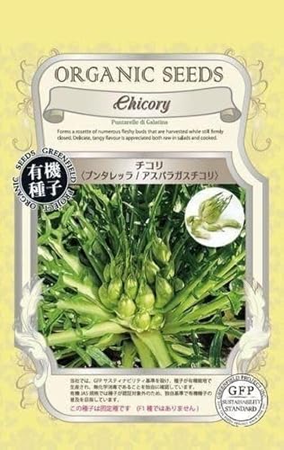 プンタレッラ/アスパラガスチコリーの種〔固定種・有機種子〕 無消毒のサムネイル