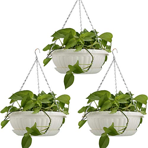 Top 10 Best Hanging Planters Reviews & Buying Guide D and T Custom
