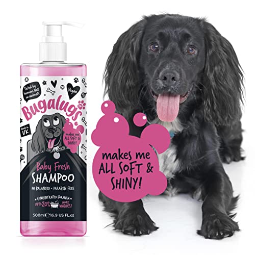 Bugalugs Baby Fresh Hunde-Shampoo, Hundepflege Shampoo-Produkte für schlehct riechende Hunde mit Babypuderduft, bestes Welpen-Shampoo, Baby Fresh, Shampoo Conditioner, veganes Haustier-Shampoo