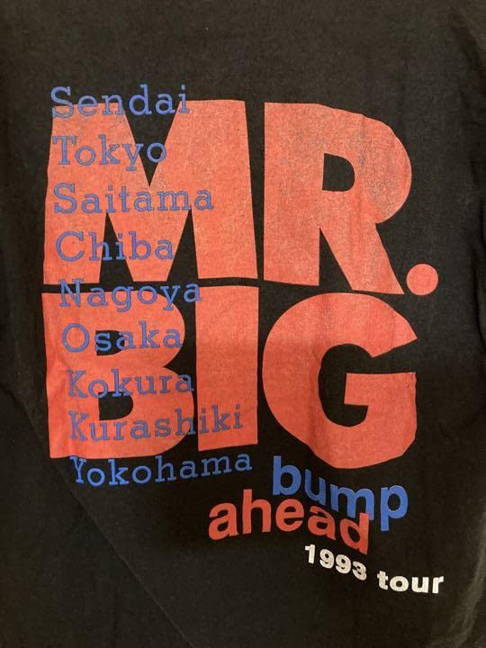 Amazon.co.jp: Mr.BIG ミスタービッグ ロック Tシャツ Lサイズ : おもちゃ