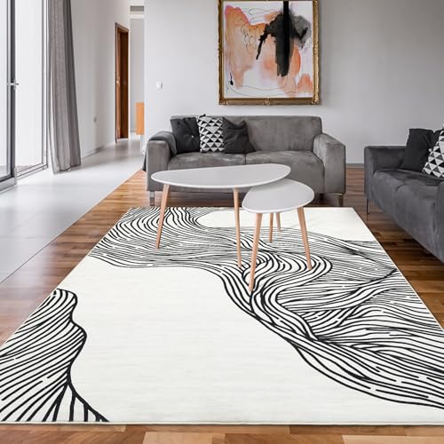 GAOMON 5x7 Area Rugs Washable Rug Non Slip Modern Rug