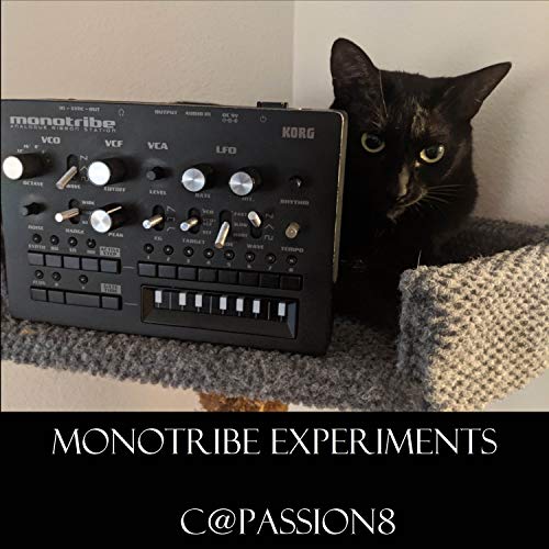  Monotribe Experiments