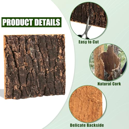 Image of Cork Bark for Terrarium,4Pcs 5.9x5.9In Cork Bark for Reptiles Terrarium Background Accessories