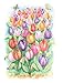Creative Haven Drawn to Coloring!: Gnomes & Gardens (Adult Coloring Books: Fantasy)