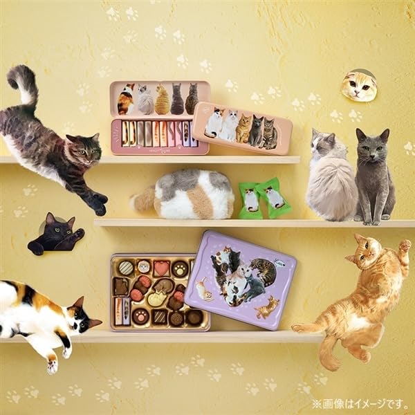 メリー　猫　チョコ　クッキー　ポーチ　缶　にゃそーてっど　もふぷに　チョコレート Amazon.co.jp: メリーチョコレート ねこみゃみれ ホワイトデー