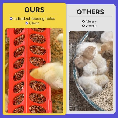 Image of Pawaboo Chick Brooder Box for Chick Starter Kit, Green + Red + Wood Color