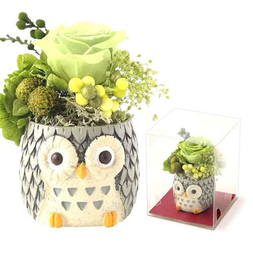 ふくろうプリザーブドフラワーキット