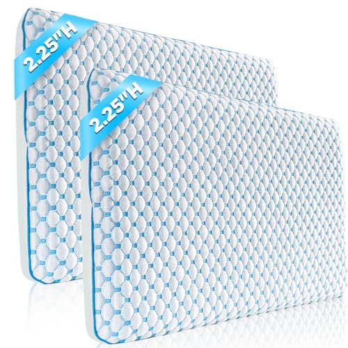 Iwacool Flat Pillows for Stomach and Back Sleepers, Cooling Gel Thin Stomach Sleeping Pillows for Shoulder Neck Pain Relief, Low Memory Foam Pillows 2 Pack 2.25-inches