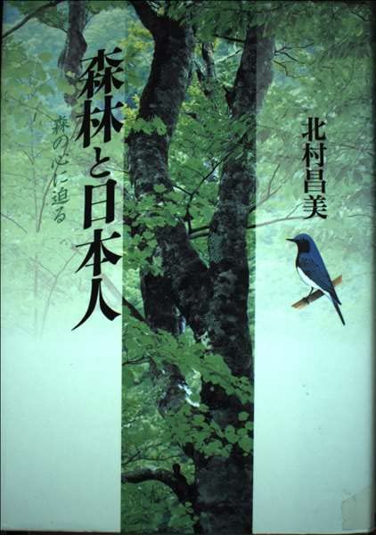 森林と日本人: 森の心に迫る | 北村 昌美 |本 | 通販 | Amazon