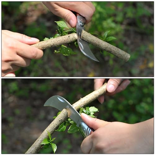 Cuchillo de Jardín Plegable Linsen Outdoor con Hoja de Acero Inoxidable miniatura 4