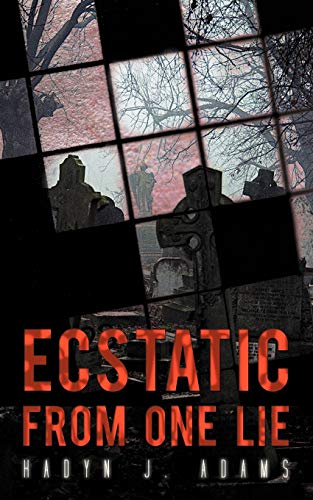 Ecstatic From One Lie view 2