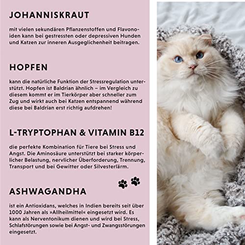 Beruhigungsmittel für Katzen Annimally Relax Rescue Liquid 250 ml