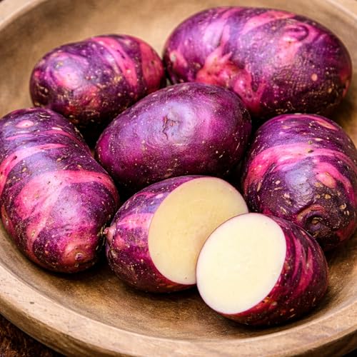 Viking Purple Seed Potatoes for Planting | Vibrant Purple Skin | Heirloom Variety for Home Gardens | Excellent Yield & Flavor | Non-GMO Untreated (3 Pounds)
