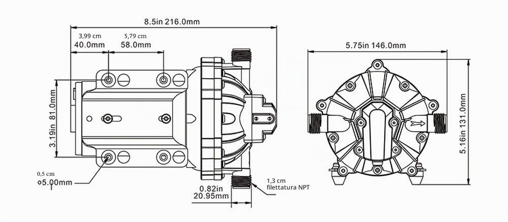 SEAFLO pompa a membrana serie 55 - 12V DC, 5.5 GPM, 60 PSI con INTERRUTTORE DI PRESSIONE DOVUTO PESANTE