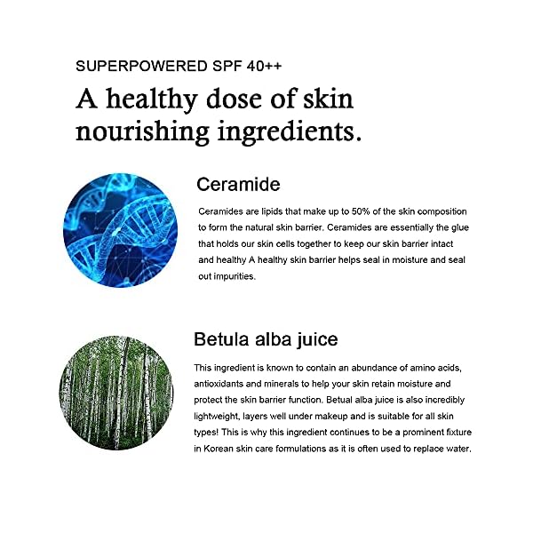 LADAMER Sun Perfect Cure Cream SPF40 PA++ | B-Blocker Face Sunscreen & Daily Outdoor Sun Protection Cream | 1.76 Oz