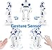 Glantop Remote Control RC Robots Interactive Walking Singing Dancing Smart Programmable Robotics...