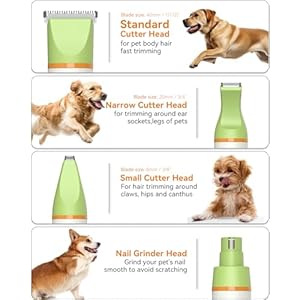 Dog Grooming Clippers Kit Allinone Low Noise Slient Electric Clippers Rechargeable Cordless Waterproof Small Paw Trimmer Nail Grinder Quiet Pet Shaver for Dogs Cats at Home  Cucciolini Doodles Dog grooming clippers kit all in one low noise slient electric clippers rechargeable cordless waterproof small paw trimmer nail grinder quiet pet shaver for dogs cats at home   cucciolini doodles