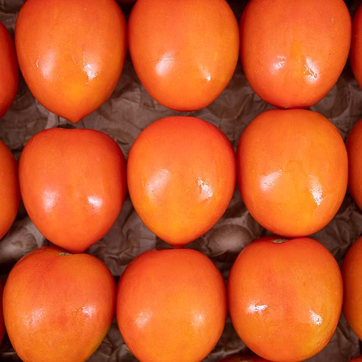 Tomate Pera 3kg La Parcela Origen España Andalucía Costa Tropical Fresco Cooperativa Granada La Palma