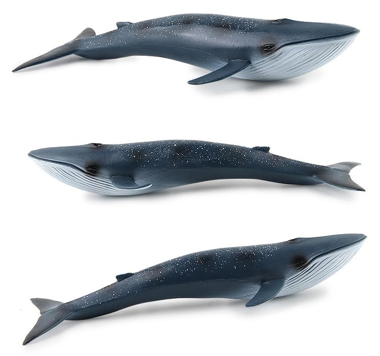 Image of SmilerSmile 10.6 inch Blue Whale Figurine Plastic Sea Creature Toy for Toddlers | Solid PVC Action Figure, Simulation Sea Animals, Educational Ocean Animal Model, Non-toxic Safe Bath Toy for Kids