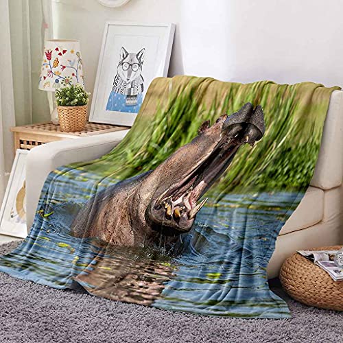 Couverture sofa 3d pour canapé lit et déplacements motif rivière - 3