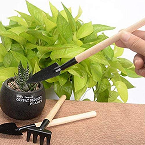 Set de herramientas de jardinería 12 piezas SaferCCTV miniatura 6