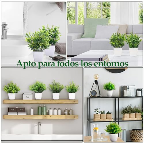 La mejor comparación de Mini macetas decorativas para comprar hoy. 30 Imagen adicional