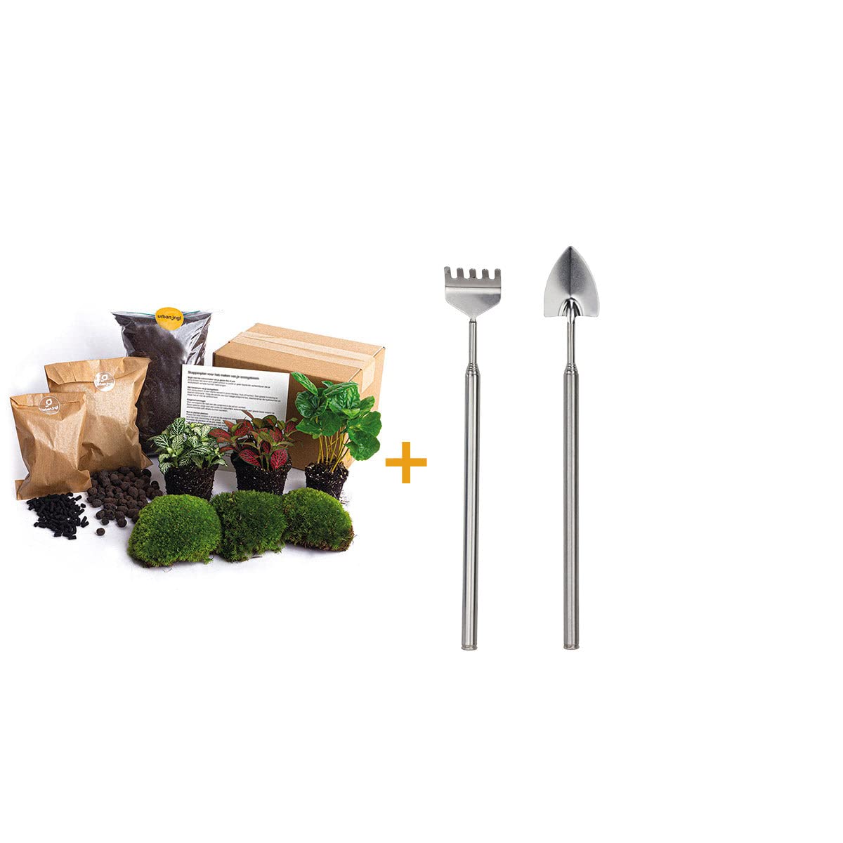 urbanjngl - Coffea Arabica Terrarium Start- und Nachfüllpaket – 3 Terrarienpflanzen für DIY-Projekte – Ideal für Pflanzenliebhaber und Einsteiger