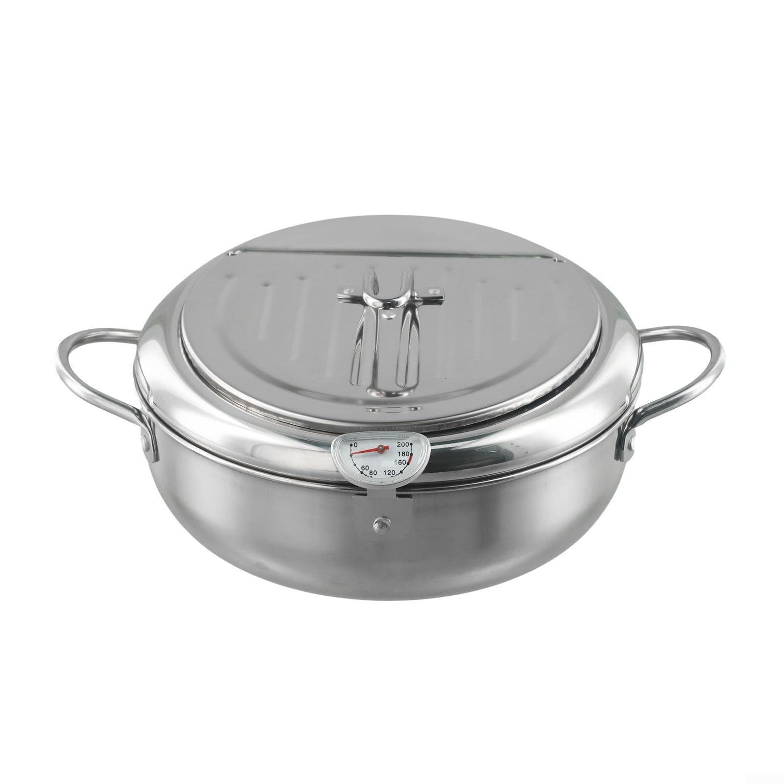 Friggitrice Acciaio 3.2L con Termometro Rimovibile Friggitrice(201+24cm)