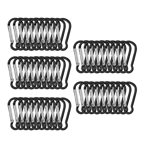 50 Pezzi Moschettone Portachiavi,Moschettone in