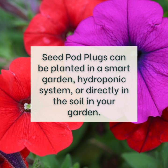 Miniatura 2 de Red Petunia - Tapones completos de semillas con alimentos vegetales - 10 cápsulas para jardines hidropónicos, clic y cultivo, cultivo de lechuga y