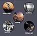 BlueSunshine Super Bright Wrist LED Light USB Rechargeable Waterproof LED Flashlight Wristlight Watch with Compass, Best for Running Biking Mountain Climbing Camping Hiking Patrol Hunting