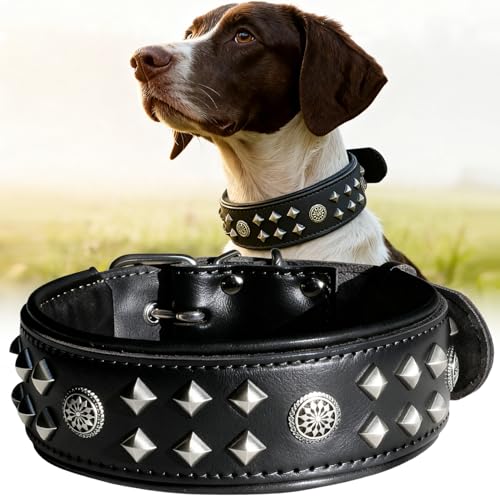 EliteGuard Hundehalsband Leder, 5,6 cm Breit, Handgefertigt Mit Nieten Und Edelstahlschnalle, Für Den Täglichen Gebrauch Bei Großen Hunden, Schwarz M