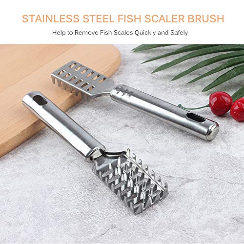 Escova de raspador de peixe de aço inoxidável Removedor de escama de peixe Escova de raspagem Escova