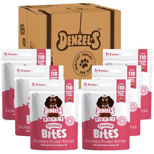 Denzel's Puppy Treats - Salmon & Peanut Butter, 6 x 100g