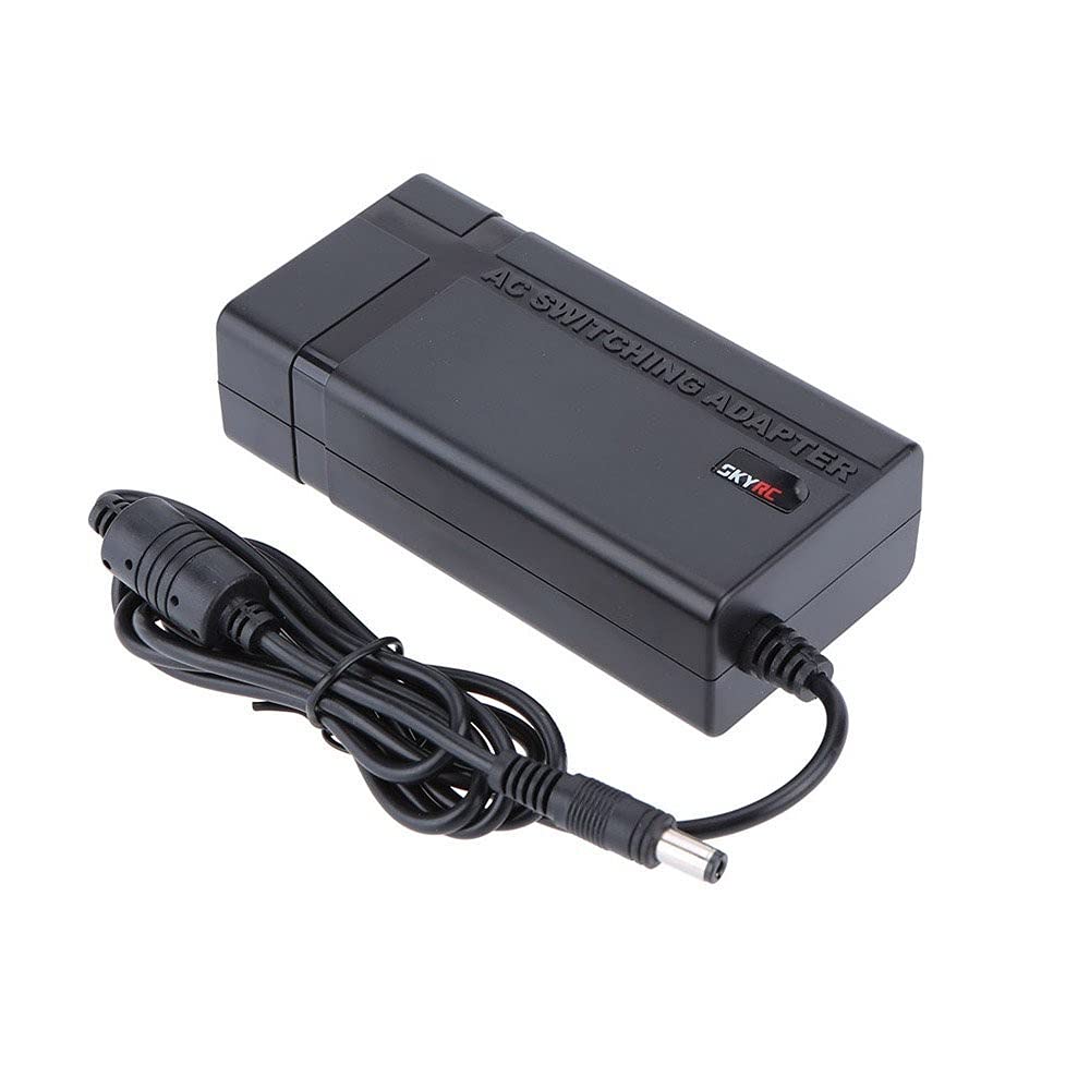 SKYRC SK-200008 Netzteil & Wechselrichter, 60 W, Schwarz Leistungsadapter & Wechselrichter (Innenbereich, 100-240 V, 50/60 Hz, 60 W, 15 V, 4 A)