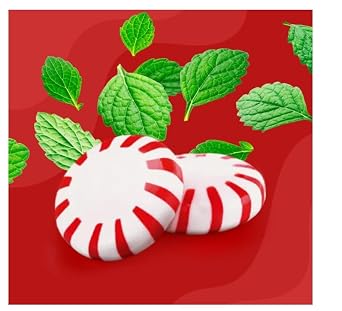 Starlight Peppermints Hard Candy, Individually Wrapped Discs, Party and Holiday Treats, Mint Flavor, (2 Pack)