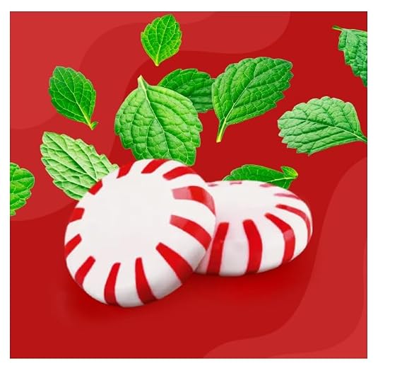 Starlight Peppermints Hard Candy, Individually Wrapped Discs, Party and Holiday Treats, Mint Flavor, (2 Pack)