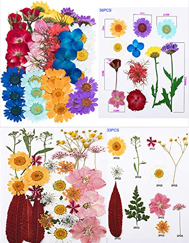image for Foyozisun Real Dried Pressed Flowers and Butterfly Transparent Sticker