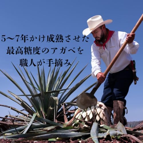 パトロン シルバー [プレミアム テキーラ メキシコ産 750ml 40% ] [ギフトBox入り] [正規品] - 100%ブルーアガベ / 手造り少量生産 / 世界No. 1スーパープレミアムテキーラ 9枚目