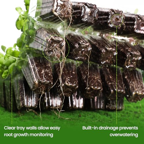 Bonviee 2-Pack Seed Starter Tray with Plant Light, Elevated Seedling Starter Trays Kits with Adjustable Humidity Domes and Clear Cell Tray, 12 Full Spectrum Led Lamp Beads for Plants Indoor-Clear