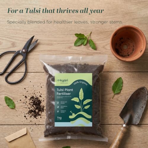 Image of Kyari Tulsi Fertilizer 100% Organic - Natural Growth Booster for Tulsi Plant, Holy Basil, Home Garden, Balcony Pots - Plant Food for Lush Green Leaves - 100% Natural for Plant Parents