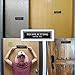 No Soliciting Sign for House — Keep Solicitors Away, with Strong Adhesive Tape for Any Surface, 8.2 × 2.4 Inch, Stylish & Prominent Design, Perfect for Home Office Front Doors, Walls, Windows